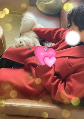 BOSS(ﾎﾞｽ) (^ට ‧̫ ට^)੭