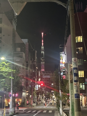 KONOSUKE(ｺｳﾉｽｹ) グラデーション きれいでしょん