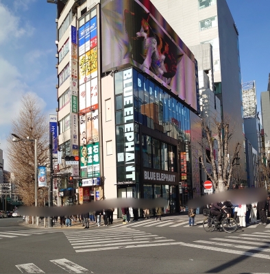 KOYOI(ｺﾖｲ) もう春