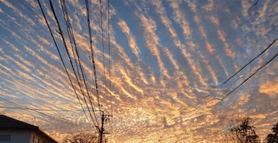 KAREN(ｶﾚﾝ) 大人でいること