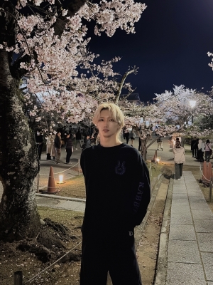 NEO(ﾈｵ) 桜が綺麗なこっちゃ