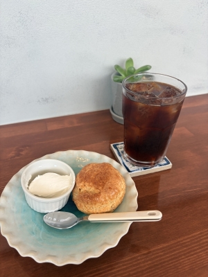 ATORI（ｱﾄﾘ） 入店１ヶ月で全国ランキング全部上位に入った件〜トップを目指して本気だす〜