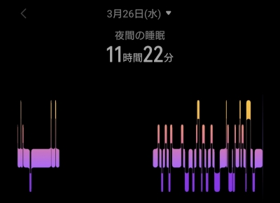 RIMURU(ﾘﾑﾙ) 睡魔