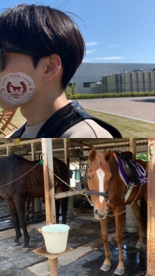 KENTO(ｹﾝﾄ) 🐴