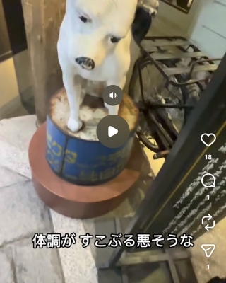 HIRO（ヒロ） 体調が悪そうなわんちゃん