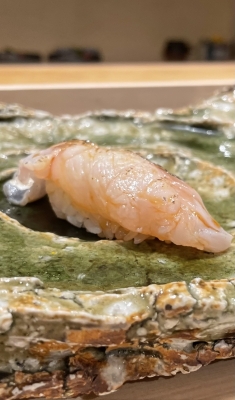 HIO(ﾋｵ) お寿司大すし