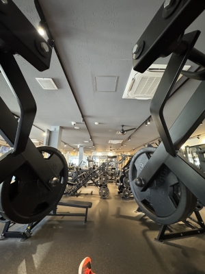 WAKA(ﾜｶ) 大将軍が見る景色