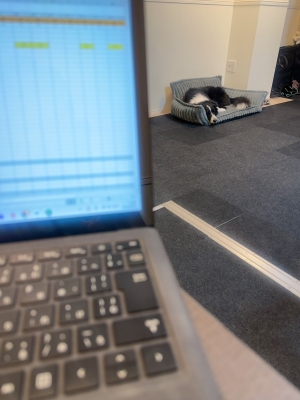 ATSUMU（ｱﾂﾑ） 1人社長の会社