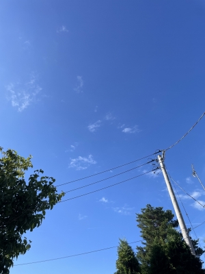 HARUMA(ﾊﾙﾏ) 夏だね