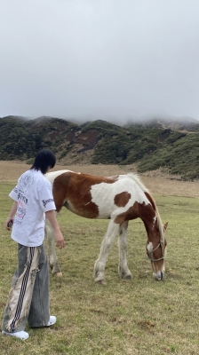 SEIYA(ｾｲﾔ) 半袖₍ᐢ‥ᐢ₎ ♡