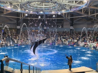 LUCA(ﾙｶ) 🐬デートと言えば水族館