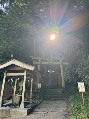 TOA(トア) 金運あげてこ