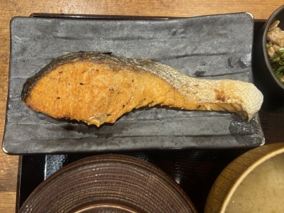 KONOSUKE(ｺｳﾉｽｹ) サーモン くーもん