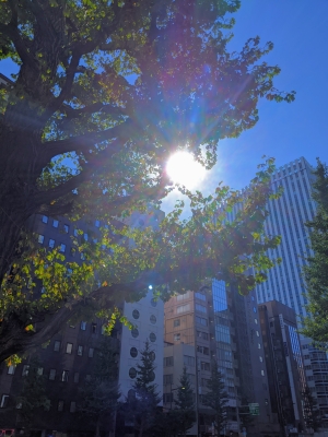 KONOSUKE(ｺｳﾉｽｹ) 夏みたいに澄んだ空
