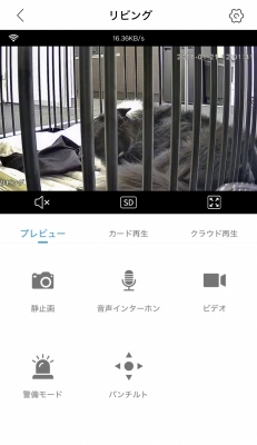 ATSUMU（ｱﾂﾑ） 良い子