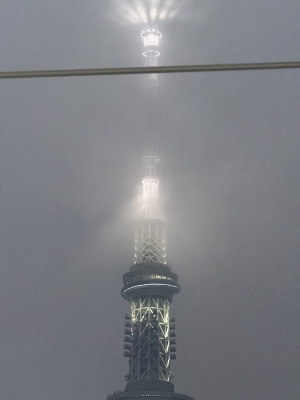 MAIKI(ﾏｲｷ) ☁️