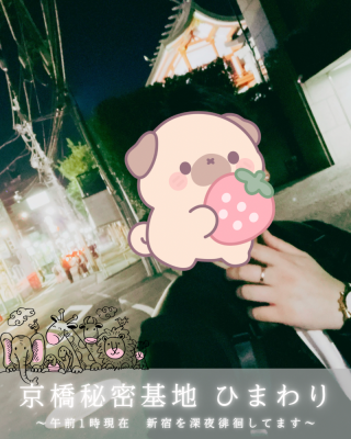 HIMAWARI(ヒマワリ) 新宿の夜を徘徊中
