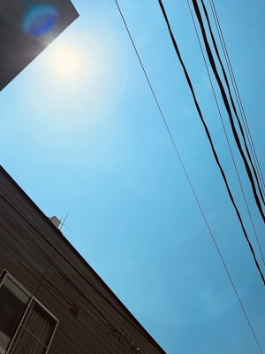 KAKERU(ｶｹﾙ) 快晴☀️今日も良い１日に🕊️