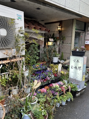 MAYUKI(マユキ) ☕✧