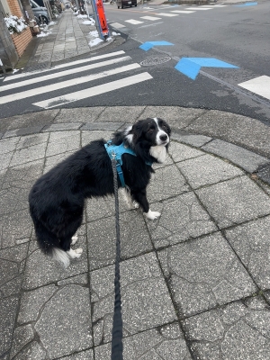 ATSUMU（ｱﾂﾑ） やらないこと3選