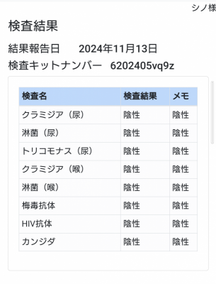 SHINO （ｼﾉ） 定期検査。