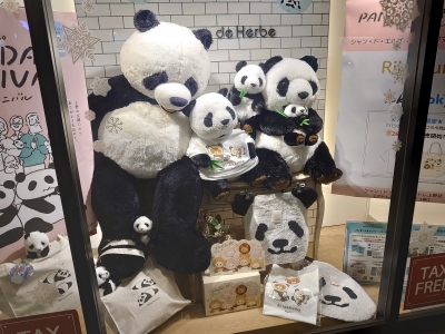 KOYOI(ｺﾖｲ) 遭遇