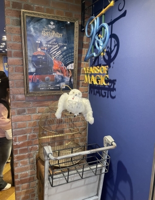 JOE(ｼﾞｮｰ) 僕らにも使える