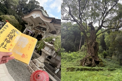 KENJI(ｹﾝｼﾞ) 武雄神社⛩️
