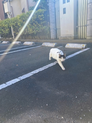 SOUTO(ｿｳﾄ) おはよ☀️