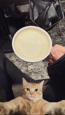 リル(Riru) 喫茶店はコーヒー