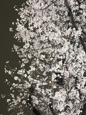 KANNA(カンナ) 【本日も】