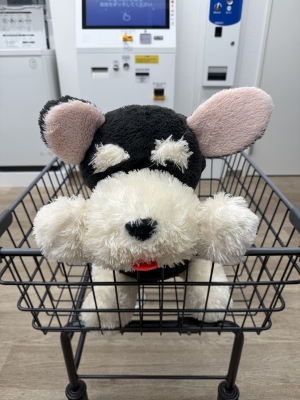 UTTY(ウッチー) 【2/11(水)】バレンタイン🍫イベントスタート🎉