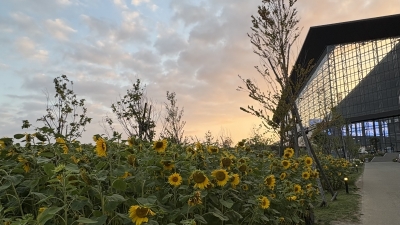 SOUDAI(ｿｳﾀﾞｲ) 北海道の夏🌻