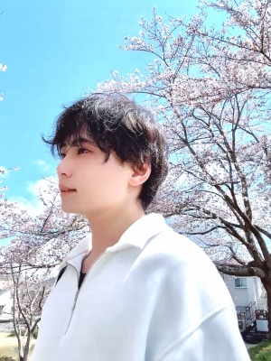 NAGOMI（ﾅｺﾞﾐ） 桜、きれいだね