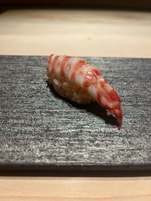 KONOSUKE(ｺｳﾉｽｹ) お寿司食べま寿司