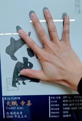 KONOSUKE(ｺｳﾉｽｹ) 手の大きさ
