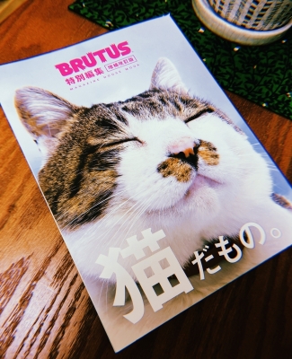 MOCHI（ﾓﾁ） 猫だもの。