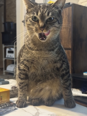 HYO(ﾋｮｳ) Tiktok更新されました✨