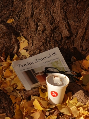 MASH(ﾏｯｼｭ) 銀杏と、、、