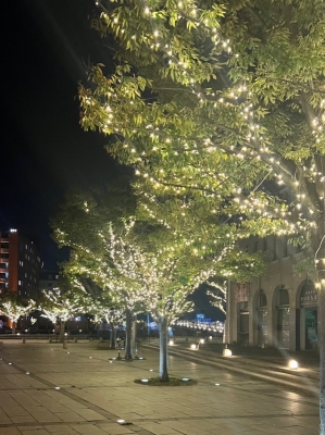 KAZUYA(ｶｽﾞﾔ) 今年もあと少し