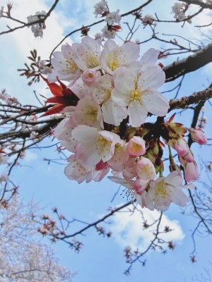 TUKIOKA(ﾂｷｵｶ) 3月もありがとうございました✨