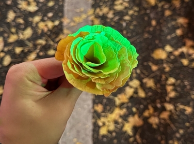 NIA(ニア) 紅葉🍁⠜