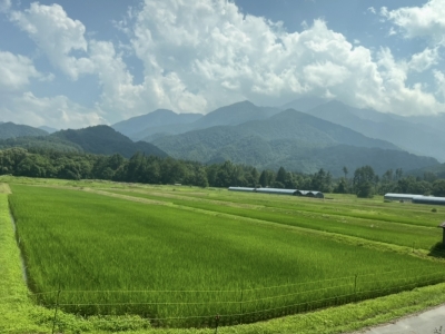 TAKAHARU（ﾀｶﾊﾙ） ひょーーう✨