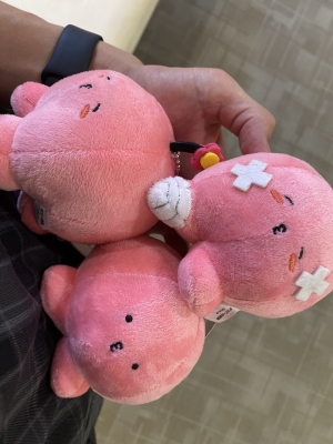 KEI(ｹｲ) タコピー乱獲(⸝⸝◜~◝⸝⸝)