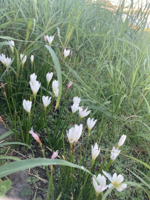 SOUTO(ｿｳﾄ) お疲れさま🌙