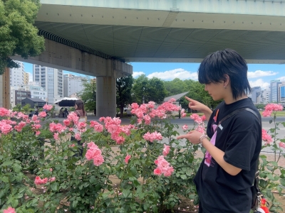 MAYUKI(マユキ) ⸜🌹⸝⋆*.゚*.゚⋆⸜🌹⸝⋆*.゚*.゚⋆⸜🌹