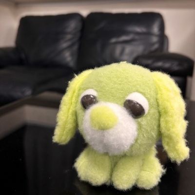 JINPACHI(ｼﾞﾝﾊﾟﾁ) らぶぶではなく、、？