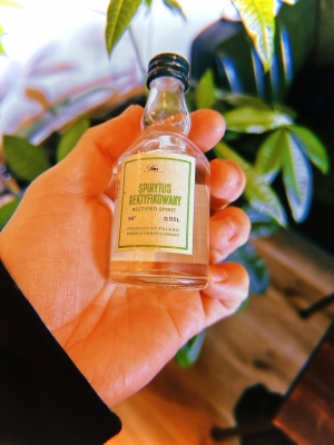 MOCHI（ﾓﾁ） 武道館。