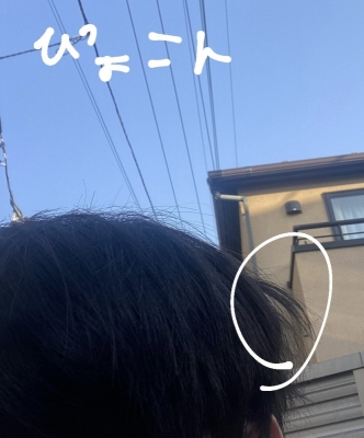 TORIMARU(ﾄﾘﾏﾙ) NEGUSE 記録