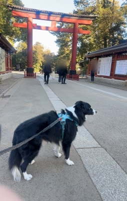 ATSUMU（ｱﾂﾑ） 人生一回きり